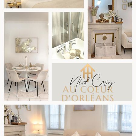 Le Nid Cosy -Au Coeur D'Orleans Daire Dış mekan fotoğraf